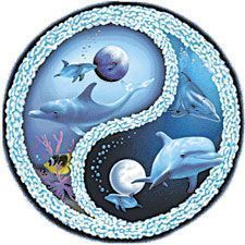ying/yang